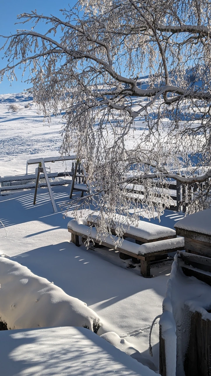 Extérieur neige